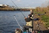 Pictures 054